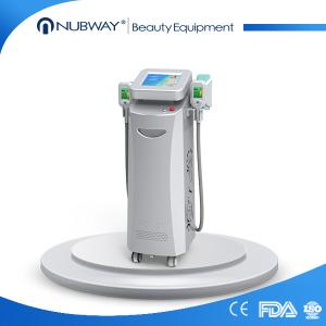China dois punhos do cryo funcionam o emagrecimento gordo não invasor simutaneously eficaz do corpo da redução supplier
