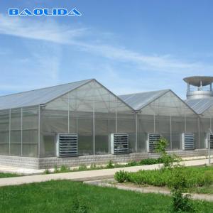 China Commercial Polycarbonate Sheet Greenhouse / PC Sheet Greenhouse Customized Material supplier