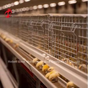 Galvanized 120 Capacity Brooder Chicken Cage Rearing Day Old Layer Chicks Iris
