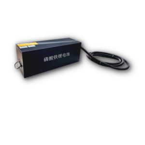 China 60 Ampere House Lithium Solar Batteries 24V400AH Customized wholesale