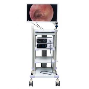 Medical HDMI Full HD Endoscope Camera System Tower DJSXJ-IIa