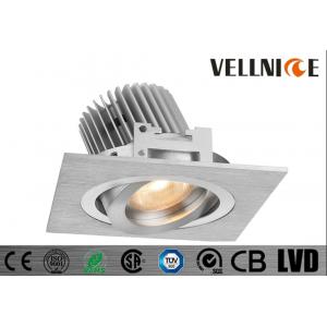 China Pure Aluminum Silver 6W Recessed Led Ceiling Lights COB Tiltable Cut Out 83mm 700mA Commercial Led Lighting/CR3B0653 supplier