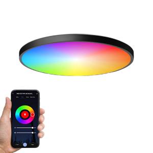 China 卸売工場 RGB CW WW LED APP Ctrl ドリーム カラー ステップレス ディムブル LED 天井灯 リビングルーム wholesale