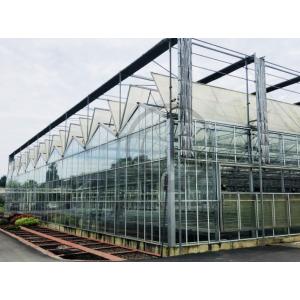 Maximize Your Greenhouse Potential with Glass Enclosed Plant House