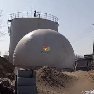 China Balloon Biogas Plant Biogas Bottling Plant Biogas Storage Tank supplier