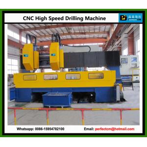 High Speed CNC Tube Sheet Drilling Machine (Model PHD6060-2)