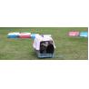 Transport Box Pet Air Box Travel Carrier Cages Portable Plastic Dog Carrier, Dog
