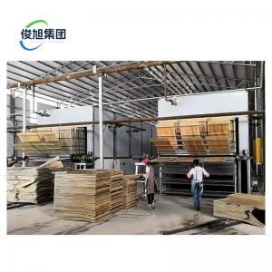 China 22.0 kW Wood Veneer Dryer The Perfect Solution for Wood Chip Drying Efficiency supplier