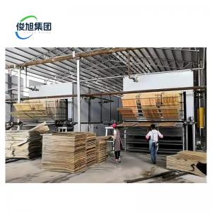 Wood Chip Drying Machine With Large Capacity And Single Cylinder Design