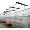 Best-selling product agricultural product fruit fly nets /vegetables anti fly