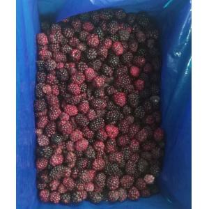 Wholesale Bulk IQF Sweet Blackberry Freezing Delicious Frozen Blackberry