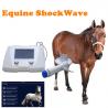 Equine Shock Wave Therapy/ shockwave therapy horses /physical shock wave medical