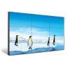 China Large Size LCD Wall Screen Monitor 3.5mm Bezel Video Controller Ultra Narrow Stitching wholesale