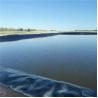 China HDPE Geomembrane Waterproof Pond Liner 0.5mm 0.2mm 0.75mm 1mm 2mm Width 1m-8m for Pond wholesale
