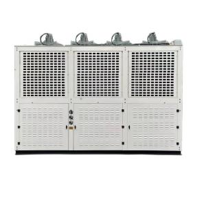 China 50HP Explosion-Proof Condensing Unit with Piston Compressor 380V supplier