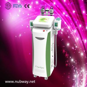 China Super fast amazing result portable vacuum cryolipolysis machine to lose weight supplier