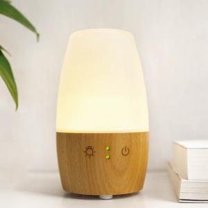 China Electric Ultrasonic Essential Oil Diffuser For Home Office Hospital supplier