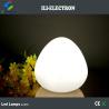 China Colorful Egg Shape Night Light LED Lamp Wireless With Remote Control wholesale