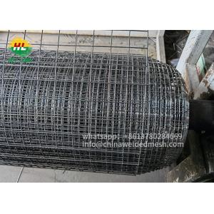 China 25 Foot Welded Wire Mesh Rolls 1x1''  for Bird Screen Pigeon Guard supplier