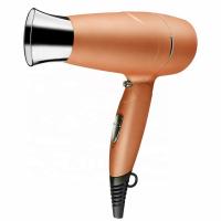China Axial Flow Plastic Dual Voltage Travel Hair Dryer With Concentrator Nozzle on sale