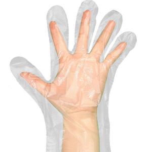 China Disposable Plastic Gloves Powder Free Clear Polyethylene For Cleaning , Hair Coloring supplier