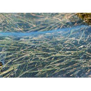 China Agricultural Anti Insect Mesh Netting Vegetable Proof With 3-10 Year Useful Life supplier