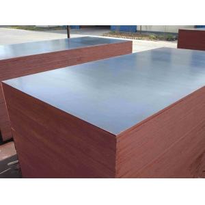 poplar core wbp glue 18mm shuttering plywood/China film faced plywood/marine plywood for construction