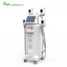 China cryolipolysis kriolipoliza wholesale