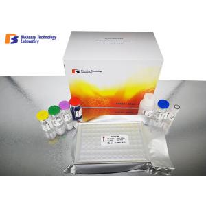 China Insulin / INS Human Sandwich Elisa Kit Under 2 - 8°C Storage Condition supplier