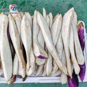 China Tira longa do corte da beringela e do melão da máquina de corte das frutas e legumes 120KG que processa cortando o equipamento longo da tira wholesale