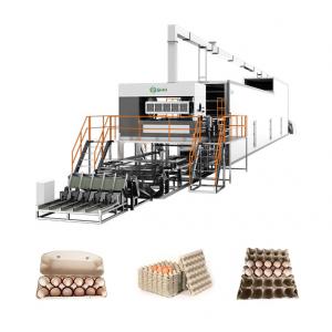 Durable Fully Automatic Egg Tray Machine Egg Cartons Machine