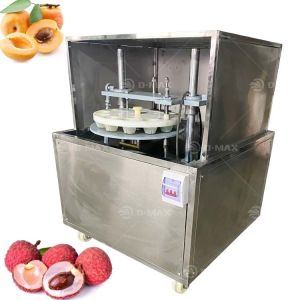 China 2023 Professional Plum Cherry Pitting Core Remove Machine for Dates Seed Manufacturing wholesale