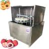 China Año 2023 Máquina automática de corte de núcleo de manzana de oliva Pit Pitter Pitting Removing Extracting Machine wholesale