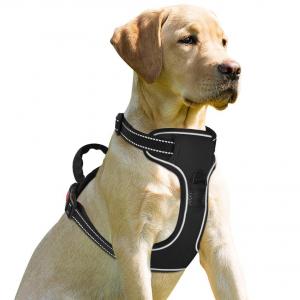 China Outdoor Pet Dog Harness Leash Adjustable Reflective Vest With D Ring Buckle wholesale