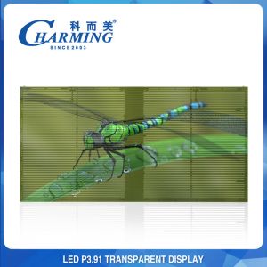 China affichage 4K en verre transparent polychrome de 500x1000mm imperméable supplier