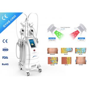 China 110V-240V Liposuction Cryolipolysis Body Slimming Machine With Cooling Pads supplier