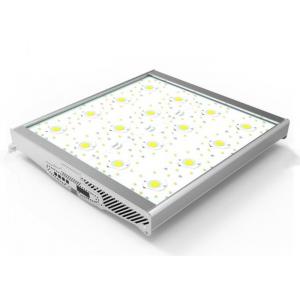 China High Power Greenhouse Grow Lights 800W , LED Grow Lights For Indoor Gardening COB Lamp supplier