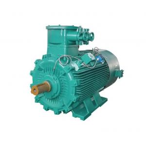 China ODM Explosion Proof Motor Low Voltage Flameproof IP55 Protection supplier