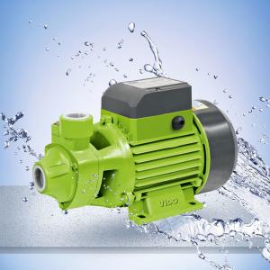 China 60L/Min 1 HP Peripheral Household Water Pumps，Cast iron for the pump head is anti-rust supplier