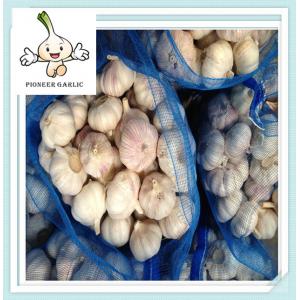 Wholesale garlic White Common Fresh Garlic Shandong natural fresh garlic