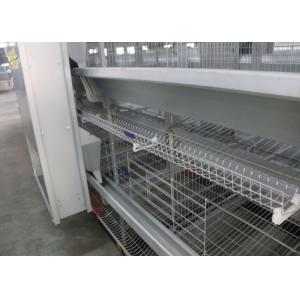 China Commercial Poultry Egg Production Equipment 3 Rows 3 Tiers Easy Control supplier