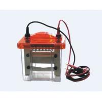 China Vertical electrophoresis system for sale