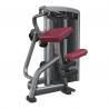 Professional Heavy Duty fitness Equipment Seated Triceps Extension Machine for
