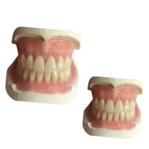 Denture Dental lab CAD CAM Rubber 3D Printed Tooth Crown Easy Maintain Great Fit