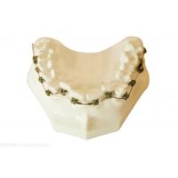 China Dental Brackets Orthodontics Fixed Tooth Modeling Tools Dental Braces on sale