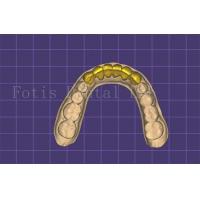 China Customizable Dental Mouth Model Maker Autoclavable FDA Approved on sale