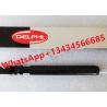 DELPHI fuel injector A6650170221 EJBR04401D S926G03655 Diesel Injector