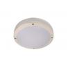 China 10W LED Bulkhead Light Oval shape for Bathroom / Toliet / Hotel Moisture proof surface mounted wholesale