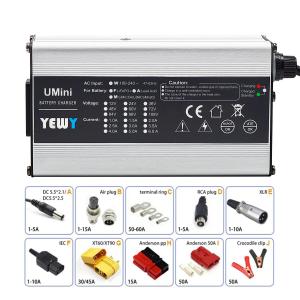 Sweeper 12V 6A Battery Charger Power 120W Charger Lithium Ion