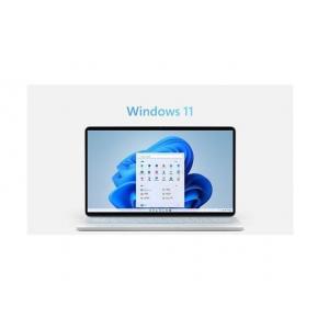 China Desktop Windows 11 Activation Key Coa Sticker / Win 11 Pro Original Product Key supplier